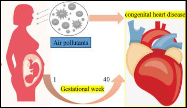 Effects of Pollution on Congenital Heart Diseases
