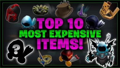 10 Most Expensive Items in Roblox