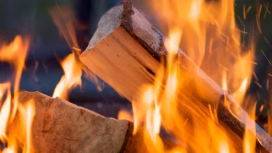 8 Tips For Burning Firewood Like a Pro