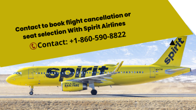 spirit airlines change flight